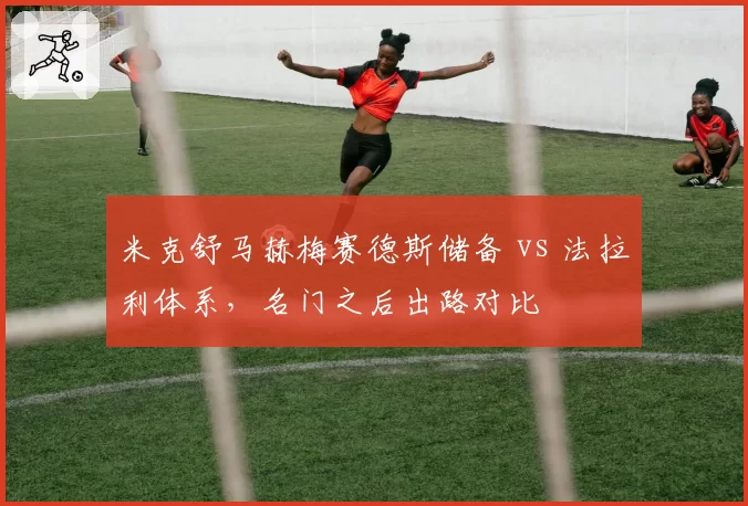 米克舒马赫梅赛德斯储备 vs 法拉利体系,名门之后出路对比