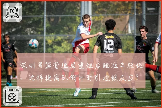 深圳男篮管理层重组后瞄准年轻化,沈梓捷离队倒计时引连锁反应?