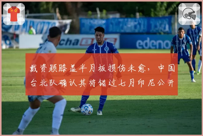 戴资颖膝盖半月板损伤未愈,中国台北队确认其将错过七月印尼公开赛