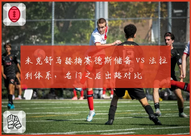 米克舒马赫梅赛德斯储备 vs 法拉利体系，名门之后出路对比